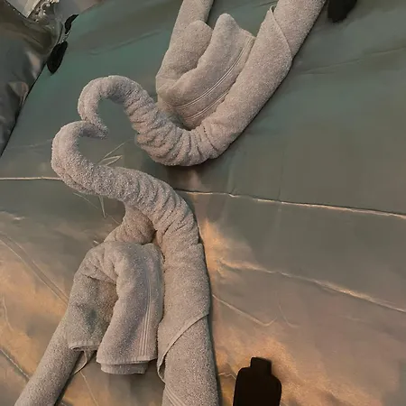 Desirs D'une Nuit - La Desiree מלון אהבה