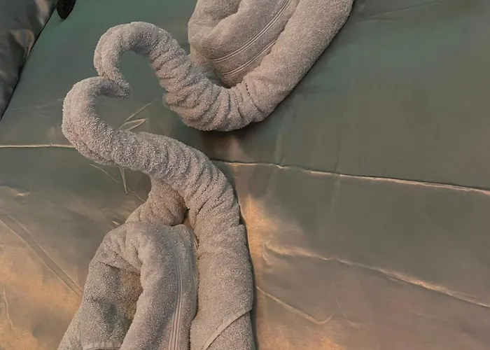 Desirs D'une Nuit - La Desiree מלון אהבה